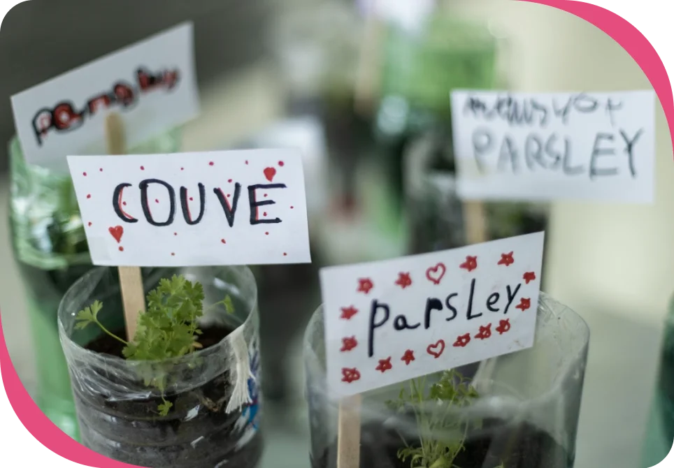 Atividade em inglês feita pelos estudantes do projeto bilíngue do Colégio Bernoulli.