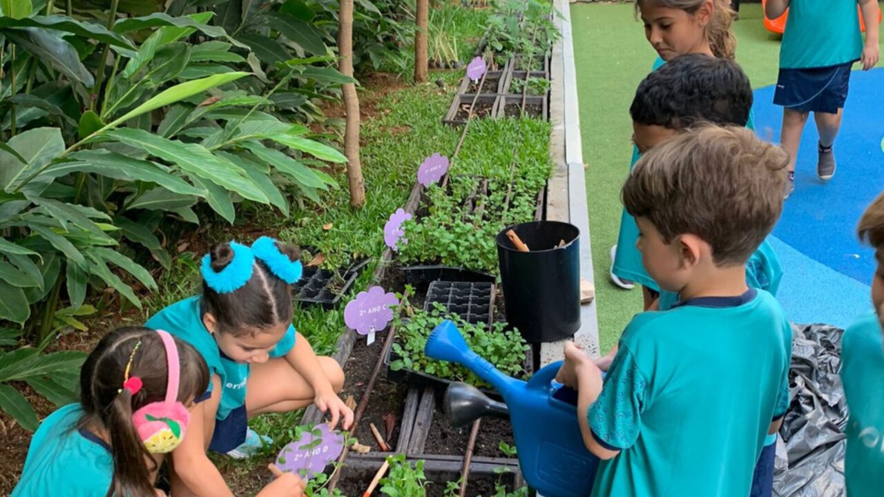 Alunos do Bernoulli aprendem sobre educação ambiental na escola